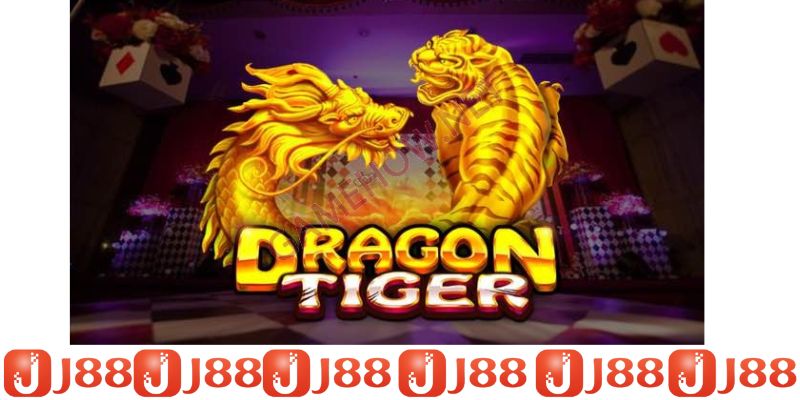 hình nền casino rồng hổ