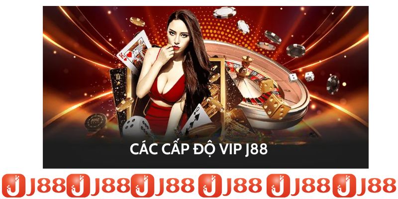 Các cấp thành viên J88 VIP theo quy định chung Các cấp thành viên J88 VIP theo quy định chung
